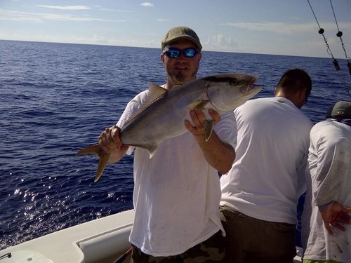 amberjack.jpg