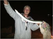 american_eel.jpg