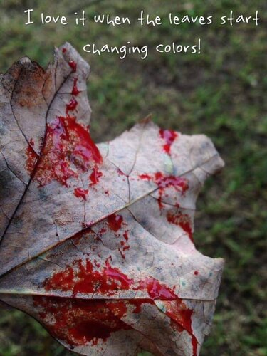 Image may contain: nature, outdoor and text