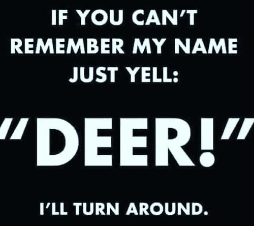 Image may contain: text that says 'IF YOU CAN'T REMEMBER MY NAME JUST YELL: 'DEER!" I'LL TURN AROUND.'