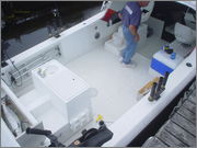 back_view_3.jpg