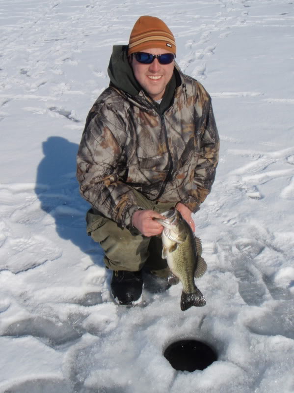 bass1.jpg