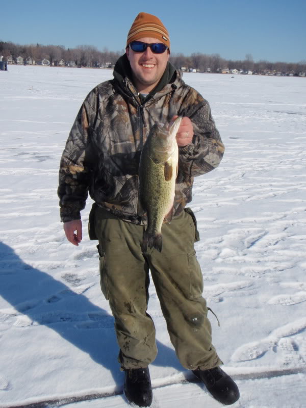 bass2.jpg