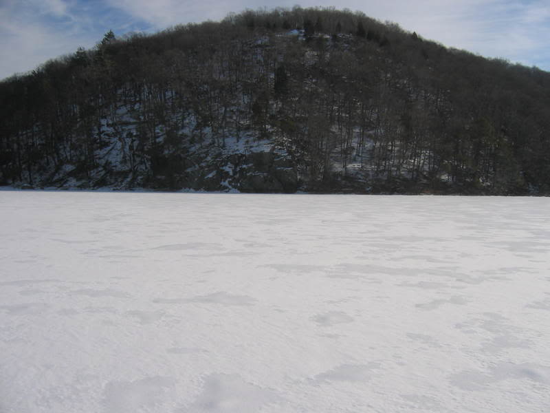 bass2_1_09008.jpg