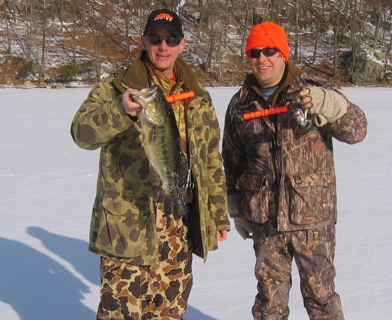 bass2_1_09010.jpg