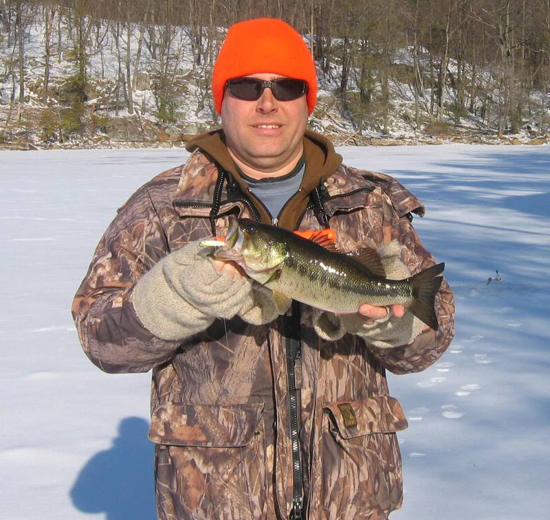 bass2_1_09011.jpg