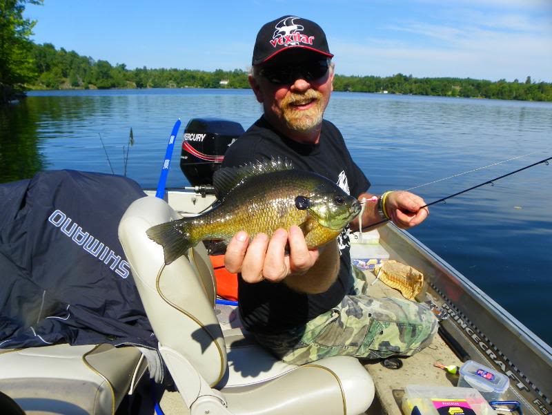bassfishing006.jpg