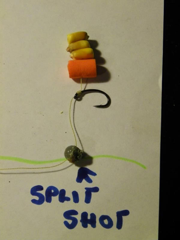 bassfishing008-1.jpg