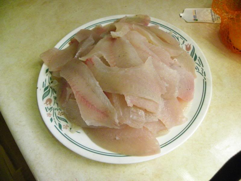 bassfishing011.jpg