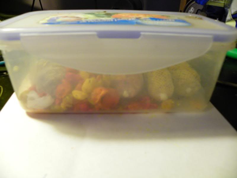 bassfishing025-1.jpg