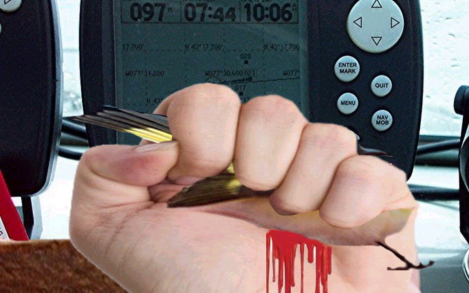 birdfist.jpg