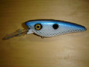 blue_shad_jpg_w180h135.jpg