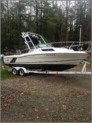 boat_002.jpg