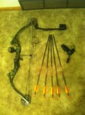 bow.jpg