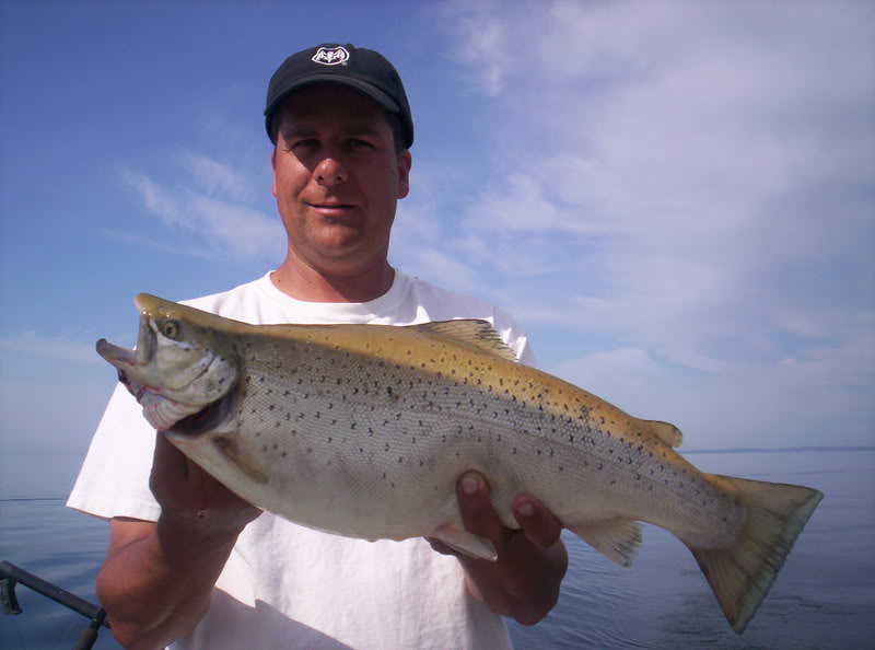 brown-1stking615004.jpg