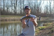 brown_bullhead.jpg