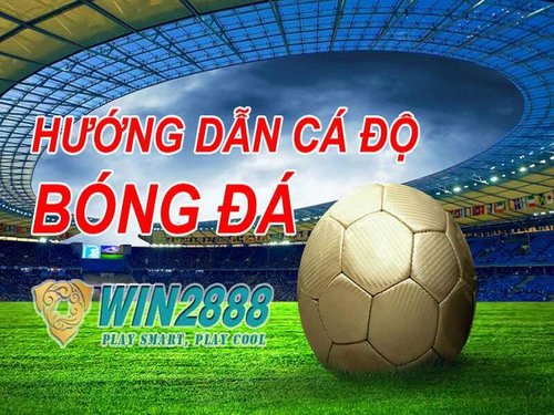 ca-do-bong-da-online-tren-win2888-4.jpg