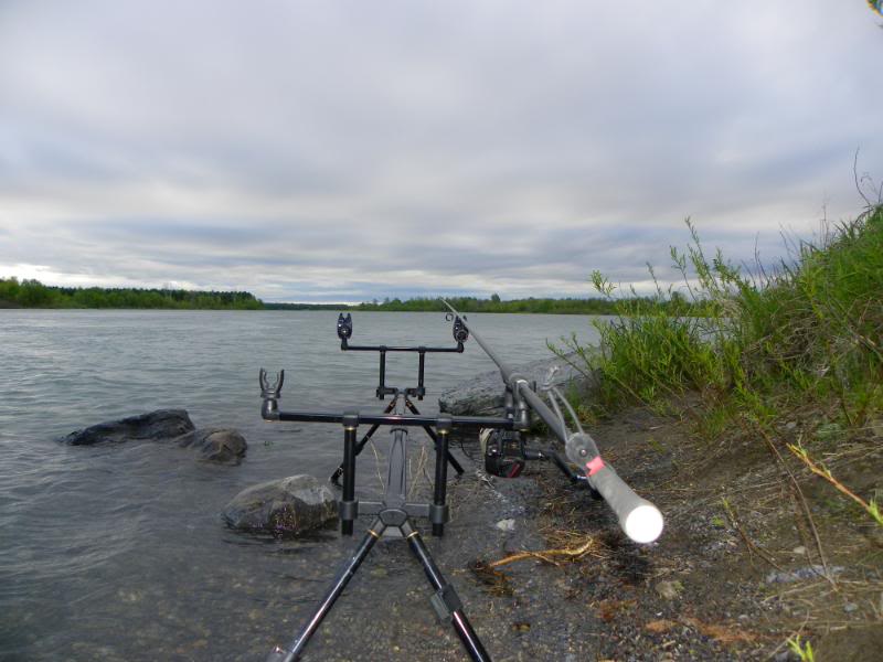 carpfishing008.jpg