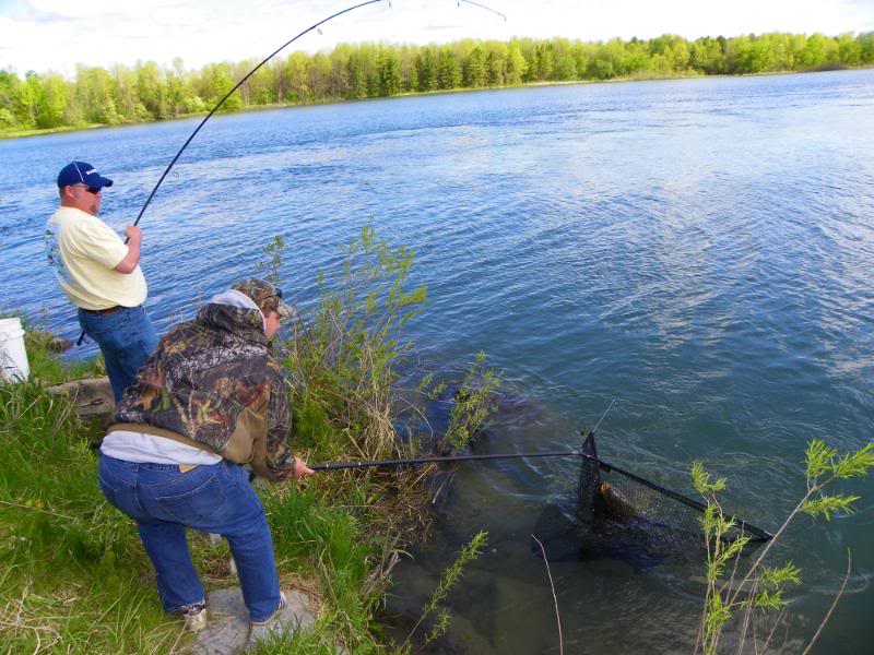 carpfishing026.jpg
