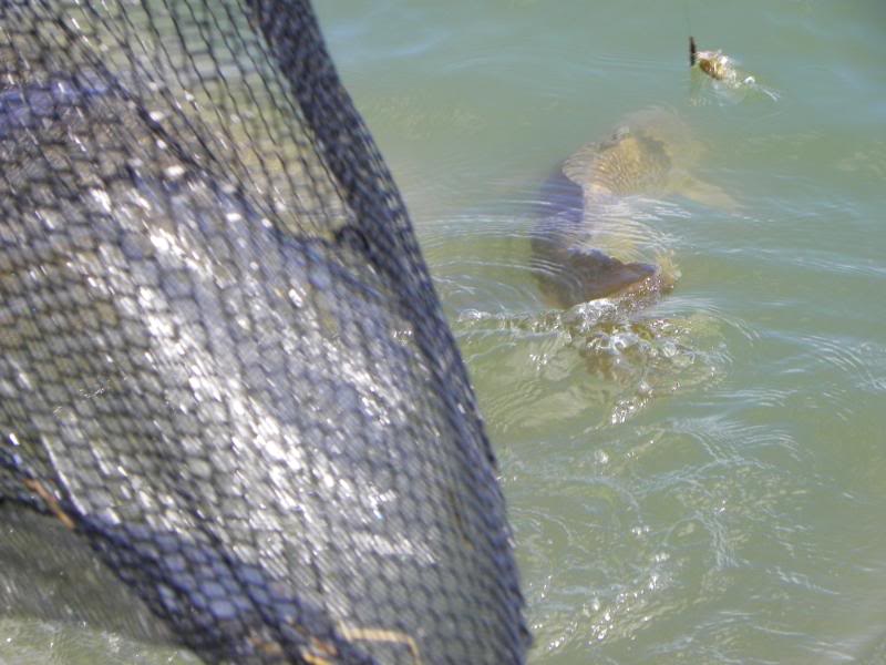carpfishing027.jpg