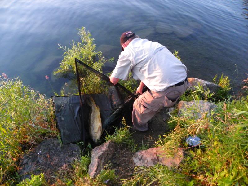 carpfishing054.jpg
