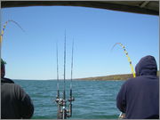 cayuga430_005.jpg