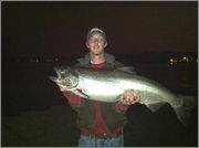 chinook_salmon.jpg