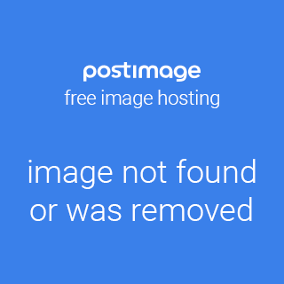 coyotes1.jpg