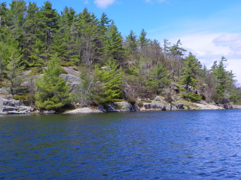 crappiefishingAp010.jpg