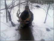 deer2.jpg