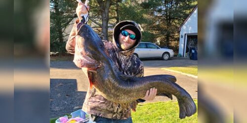 The <a href="https://news.maryland.gov/dnr/2021/01/06/cecil-county-angler-catches-record-flathead-catfish/" target="_blank">Maryland Department of Natural Resources</a> confirmed in a press release on its website that 34-year-old Joshua Dixon has been named as the state’s first-ever record holder for catching a large flathead catfish.