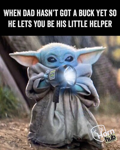 Image may contain: text
