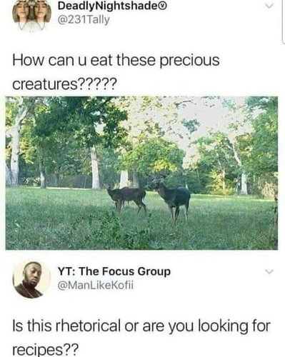 Image may contain: outdoor, nature and text