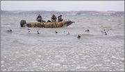 e_Bobs_Duckboat.jpg