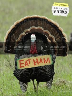 eat-more-ham.jpg