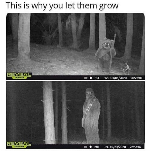 122740465_1752687658211919_6503086555018374321_o.jpg?_nc_cat=103&ccb=2&_nc_sid=8bfeb9&_nc_ohc=FnhtmyZG1hUAX85Jd5F&_nc_ht=scontent-ort2-1.xx&oh=43328a2538d7c3d037b171a7ab4c9b41&oe=5FB9A6EE