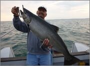 fairhavenlabor11_009_cropa.jpg