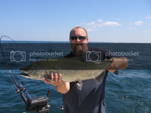 fish038-1.jpg