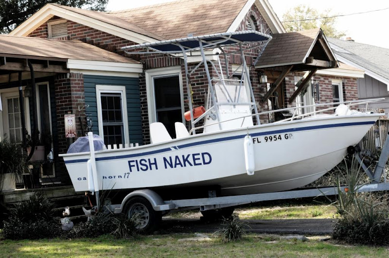 fish_naked_1_1024x680.jpg