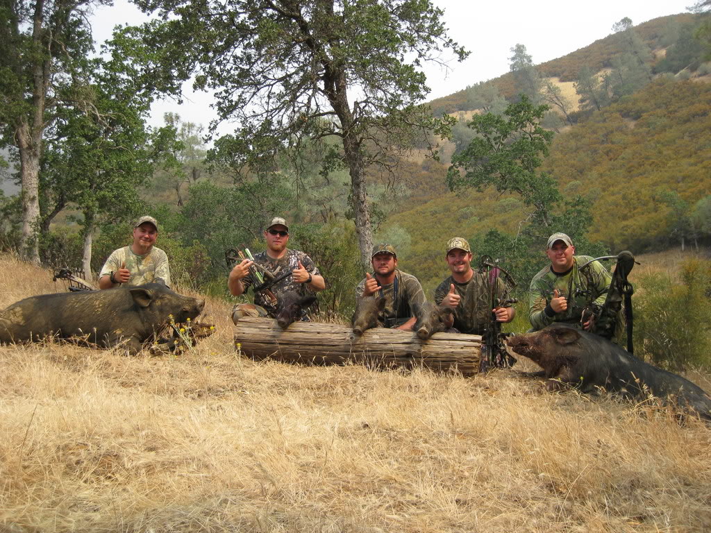 fishhunt045.jpg