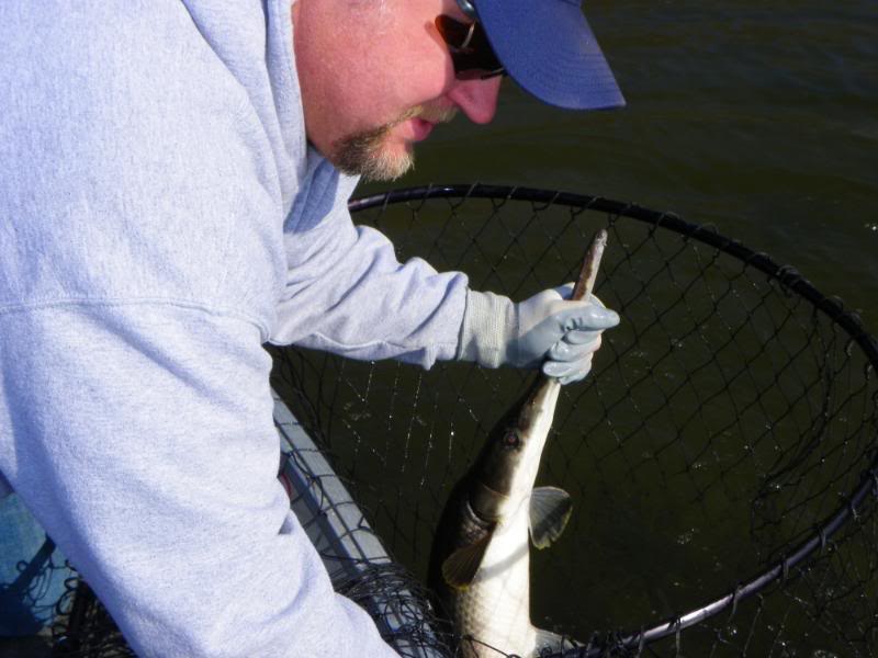 garfishing005.jpg