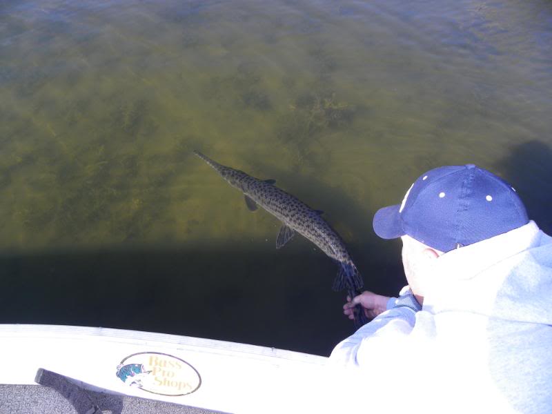 garfishing011.jpg
