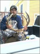 good_deer.jpg