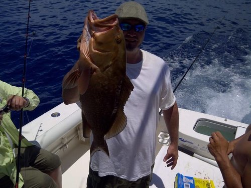 grouper.jpg