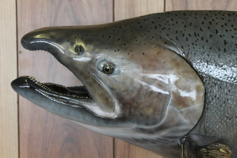 keeferking006.jpg
