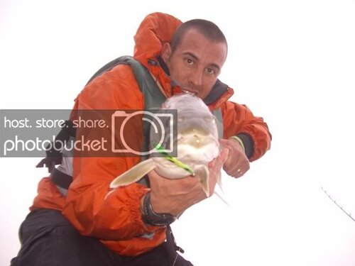 laker2.jpg