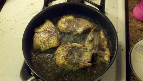 lakerfillet.jpg