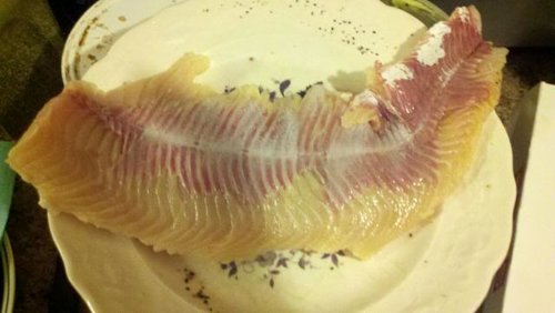 lakerfillet2.jpg
