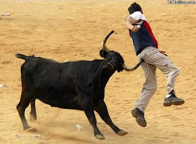 look-at-the-bull-his-horn-is-up-the-spanish-guys-ass-serves-him-right.jpg