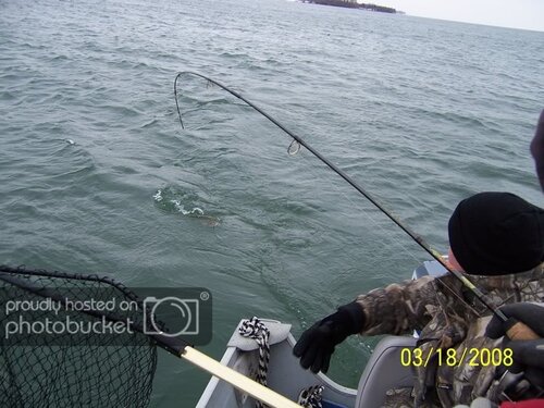 march2008017.jpg